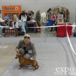 Выставка собак ДЕЛЬТА-ПАЛ-2011