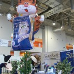 Выставка кошек «ИнфоКот»